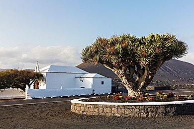 TRPG题材卡牌游戏《卡牌之声 残次的巫女》将于2月17日发售